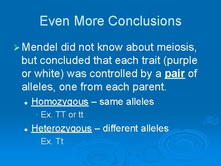 Even More Conclusions Ø Mendel did not know about meiosis, but concluded that each