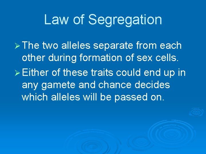 Law of Segregation Ø The two alleles separate from each other during formation of