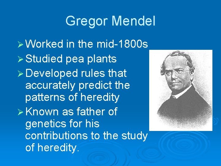 Gregor Mendel Ø Worked in the mid-1800 s Ø Studied pea plants Ø Developed