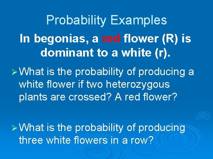 Probability Examples In begonias, a red flower (R) is dominant to a white (r).