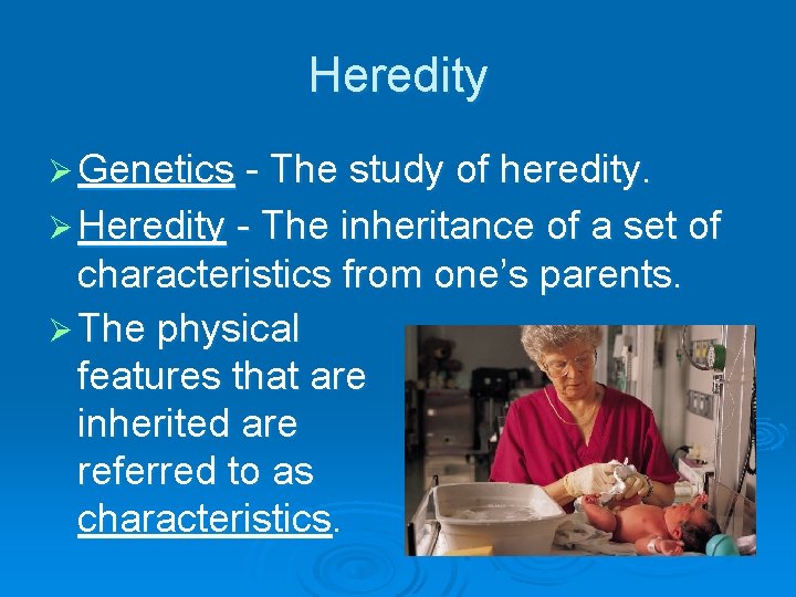 Heredity Ø Genetics - The study of heredity. Ø Heredity - The inheritance of