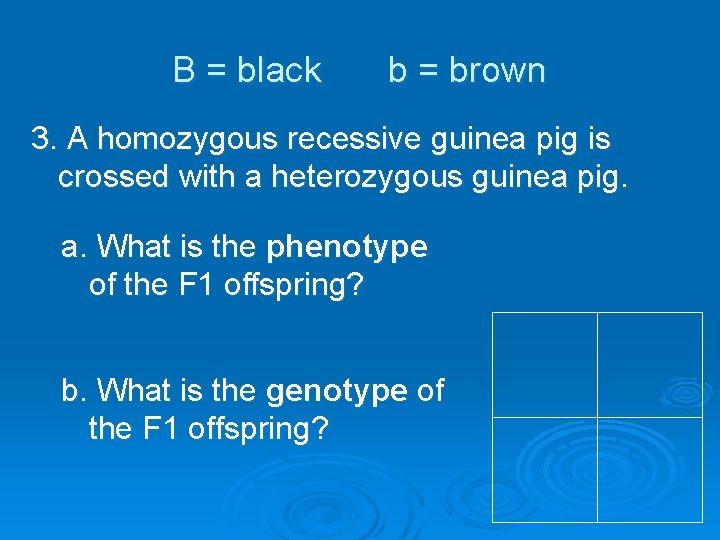 B = black b = brown 3. A homozygous recessive guinea pig is crossed