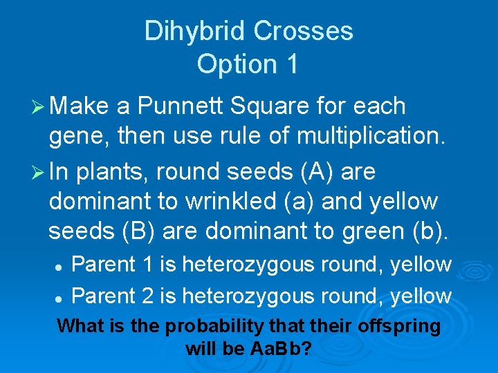 Dihybrid Crosses Option 1 Ø Make a Punnett Square for each gene, then use