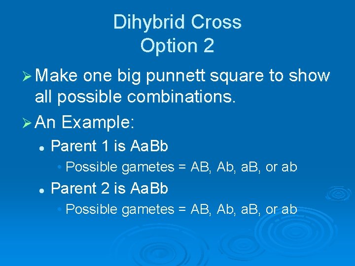 Dihybrid Cross Option 2 Ø Make one big punnett square to show all possible