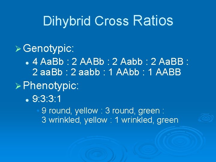 Dihybrid Cross Ratios Ø Genotypic: l 4 Aa. Bb : 2 AABb : 2