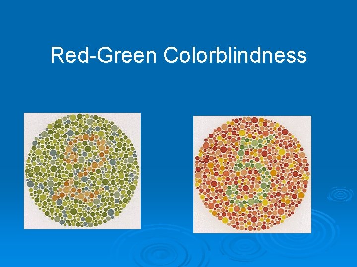 Red-Green Colorblindness 