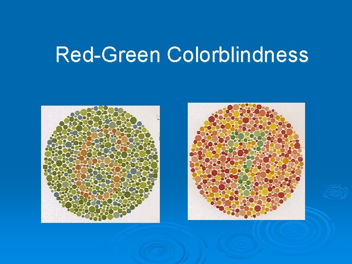 Red-Green Colorblindness 