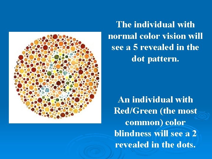 The individual with normal color vision will see a 5 revealed in the dot