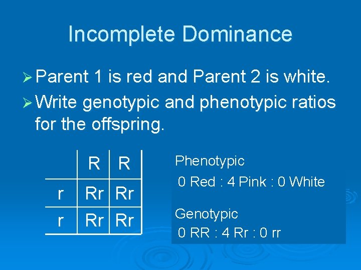 Incomplete Dominance Ø Parent 1 is red and Parent 2 is white. Ø Write