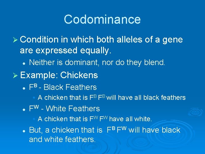 Codominance Ø Condition in which both alleles of a gene are expressed equally. l