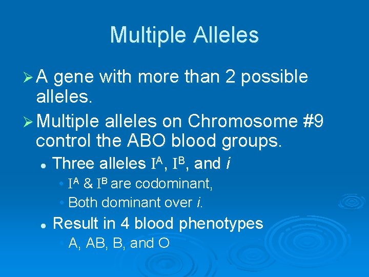 Multiple Alleles Ø A gene with more than 2 possible alleles. Ø Multiple alleles