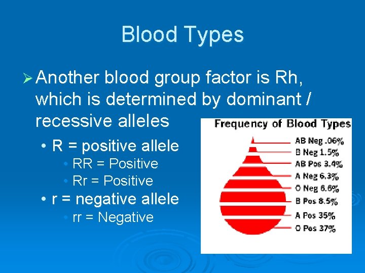 Blood Types Ø Another blood group factor is Rh, which is determined by dominant