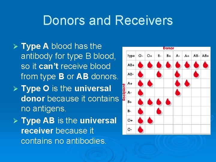 Donors and Receivers Type A blood has the antibody for type B blood, so