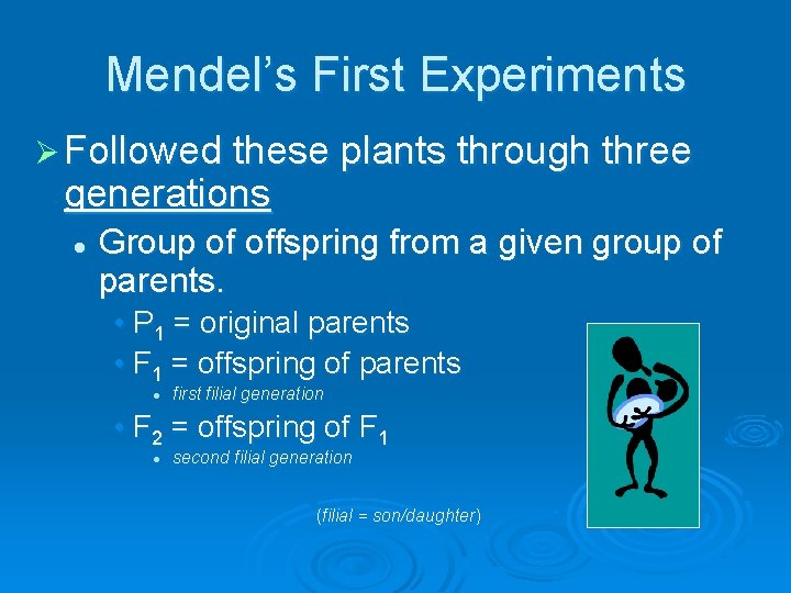 Mendel’s First Experiments Ø Followed these plants through three generations l Group of offspring