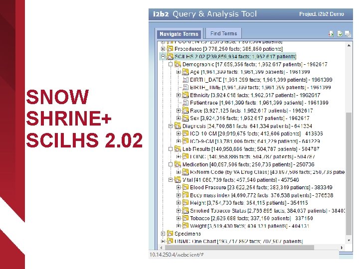 SNOW SHRINE+ SCILHS 2. 02 SNOW SHRINE+ SCILHS 2. 02