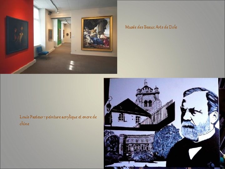 Musée des Beaux Arts de Dole Louis Pasteur : peinture acrylique et encre de
