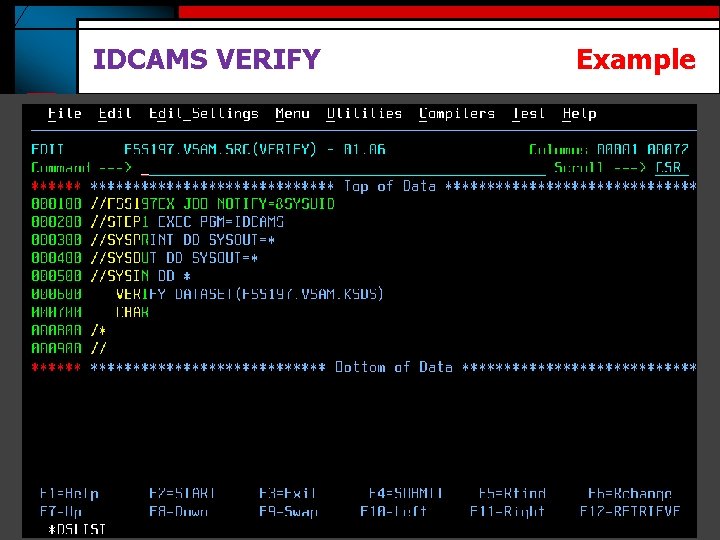 IDCAMS VERIFY Example 