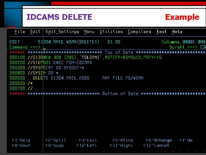 IDCAMS DELETE Example 