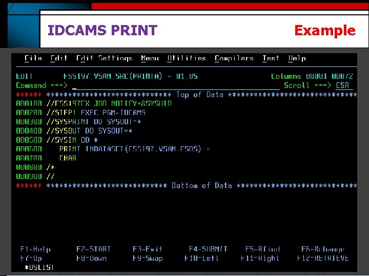 IDCAMS PRINT Example 