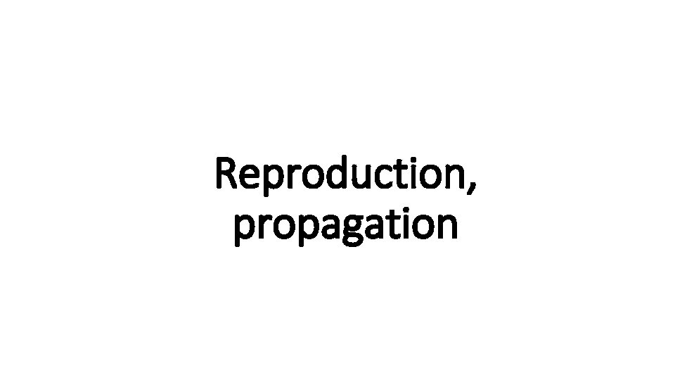 Reproduction, Indecisive propagation 