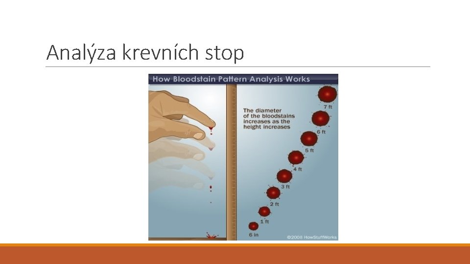 Analýza krevních stop 