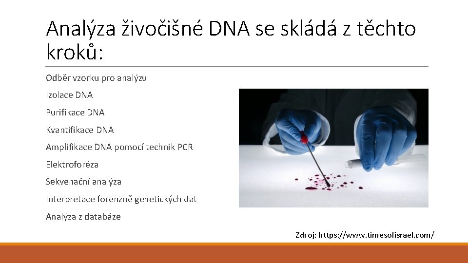 Analýza živočišné DNA se skládá z těchto kroků: Odběr vzorku pro analýzu Izolace DNA