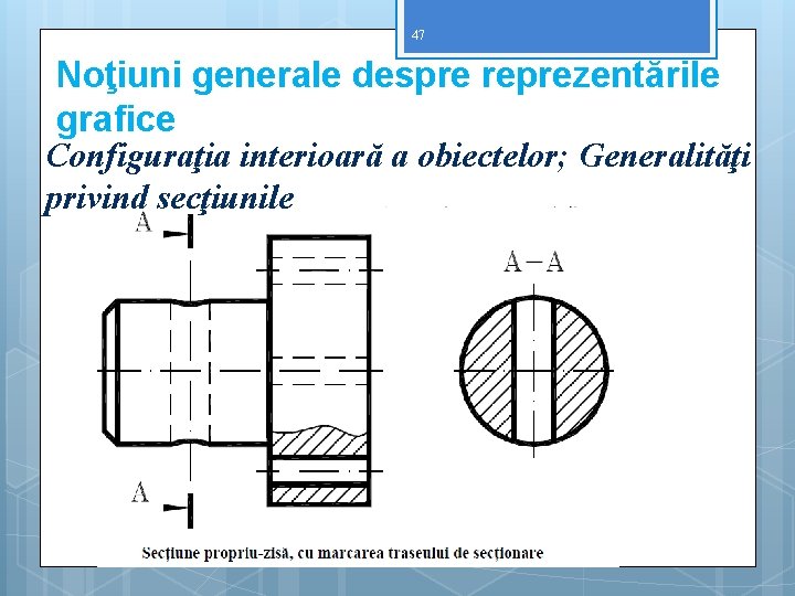 47 Noţiuni generale despre reprezentările grafice Configuraţia interioară a obiectelor; Generalităţi privind secţiunile 