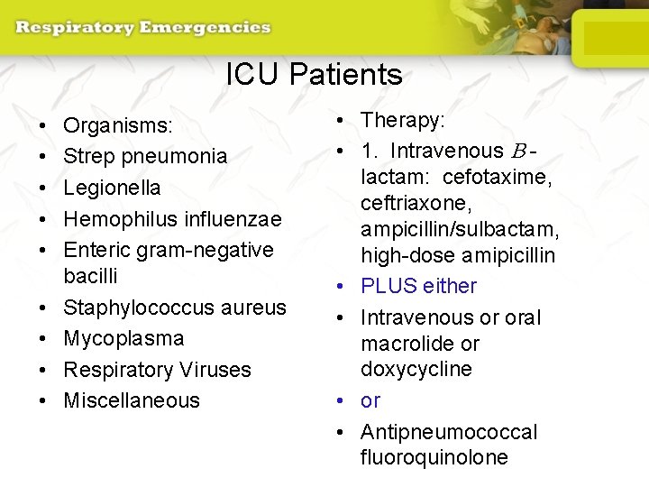 ICU Patients • • • Organisms: Strep pneumonia Legionella Hemophilus influenzae Enteric gram-negative bacilli