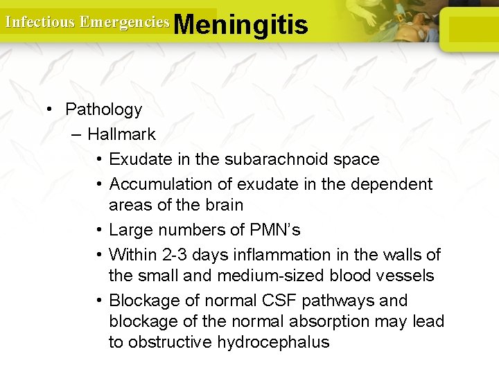 Infectious Emergencies Meningitis • Pathology – Hallmark • Exudate in the subarachnoid space •