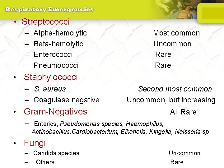  • Streptococci – – Alpha-hemolytic Beta-hemolytic Enterococci Pneumococci • Staphylococci – S. aureus