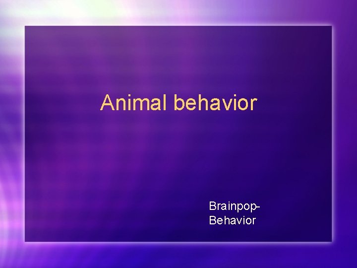 Animal behavior Brainpop. Behavior 