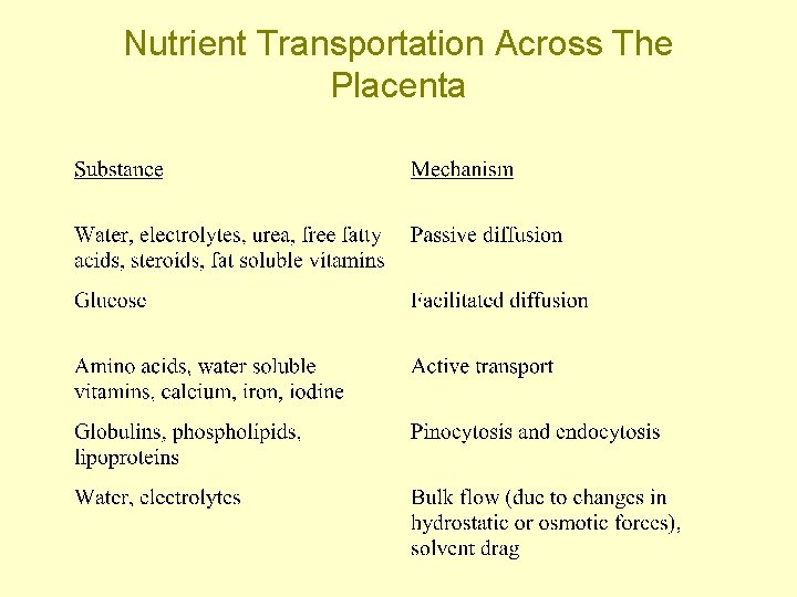 Nutrient Transportation Across The Placenta 