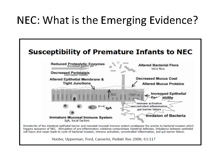 NEC: What is the Emerging Evidence? 