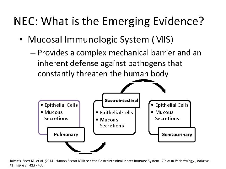 NEC: What is the Emerging Evidence? • Mucosal Immunologic System (MIS) – Provides a