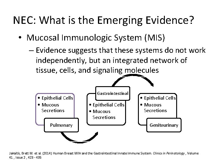 NEC: What is the Emerging Evidence? • Mucosal Immunologic System (MIS) – Evidence suggests