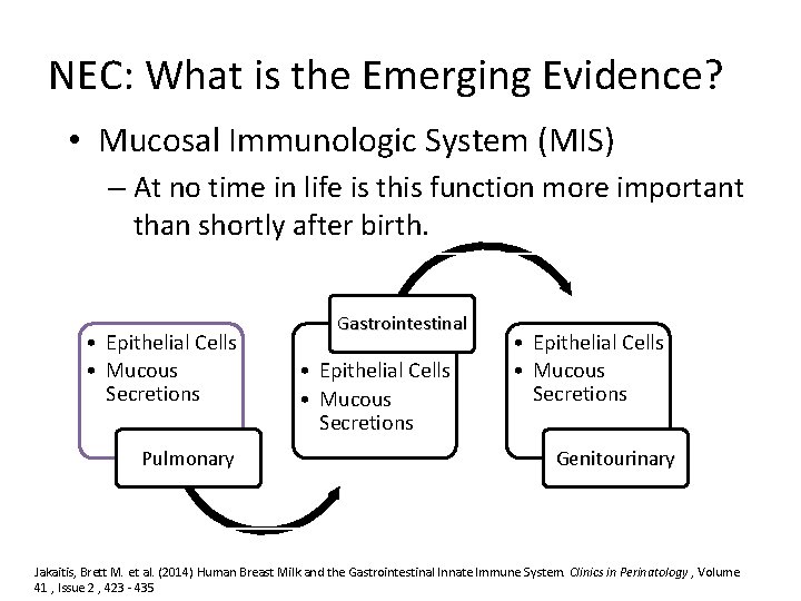 NEC: What is the Emerging Evidence? • Mucosal Immunologic System (MIS) – At no