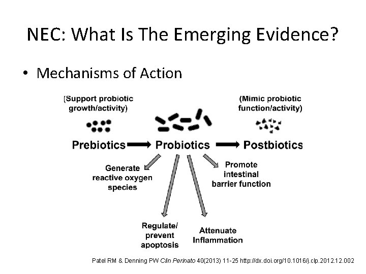 NEC: What Is The Emerging Evidence? • Mechanisms of Action Patel RM & Denning