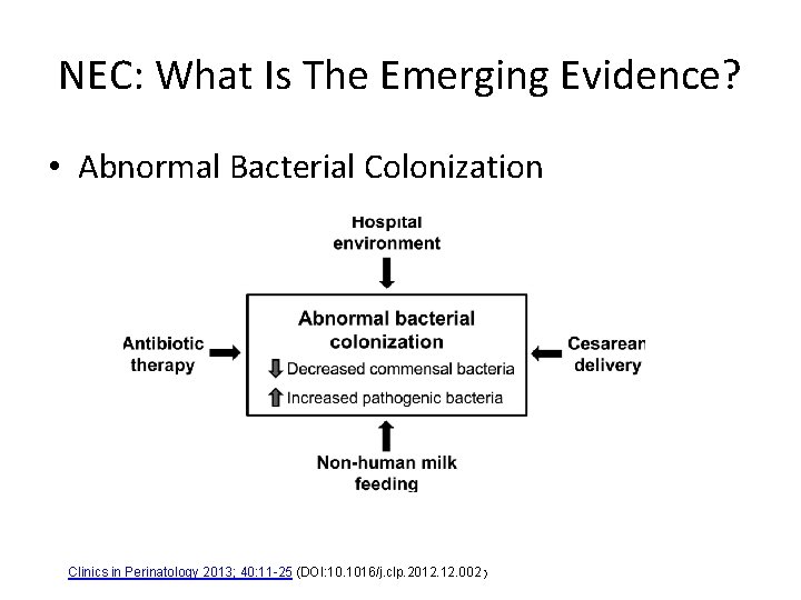 NEC: What Is The Emerging Evidence? • Abnormal Bacterial Colonization Source: Clinics in Perinatology