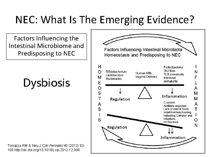 NEC: What Is The Emerging Evidence? Factors Influencing the Intestinal Microbiome and Predisposing to