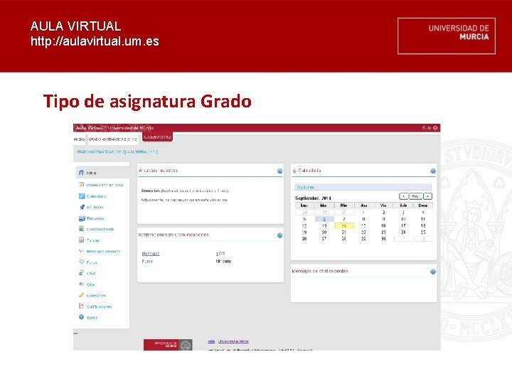 AULA VIRTUAL http: //aulavirtual. um. es Tipo de asignatura Grado 