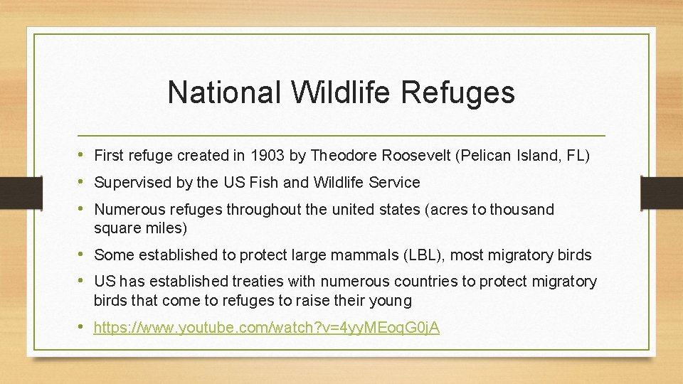 National Wildlife Refuges • First refuge created in 1903 by Theodore Roosevelt (Pelican Island,