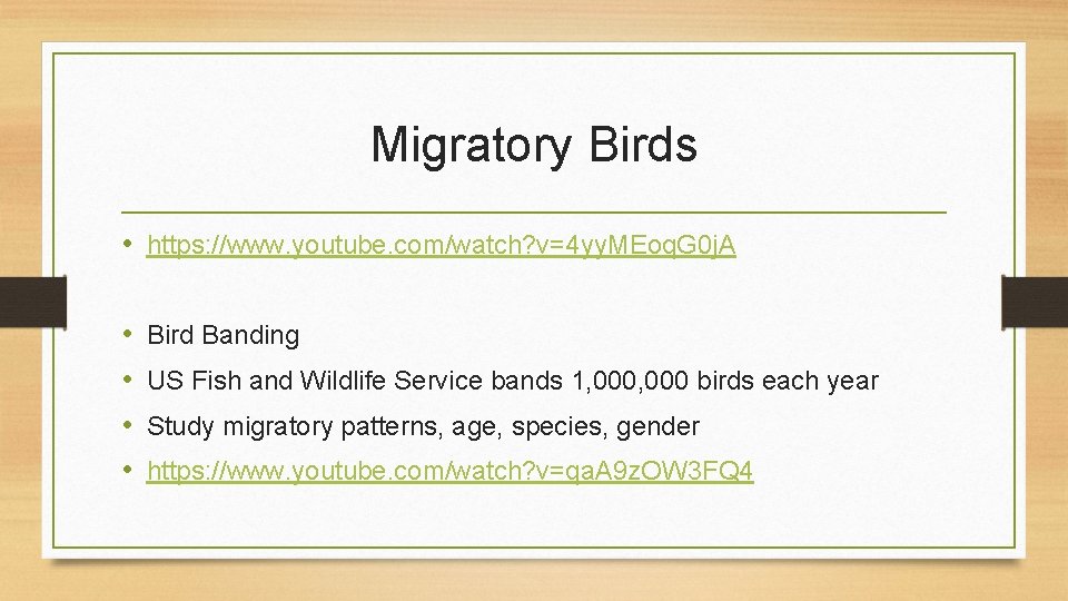 Migratory Birds • https: //www. youtube. com/watch? v=4 yy. MEoq. G 0 j. A