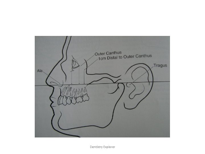 Dentistry Explorer 