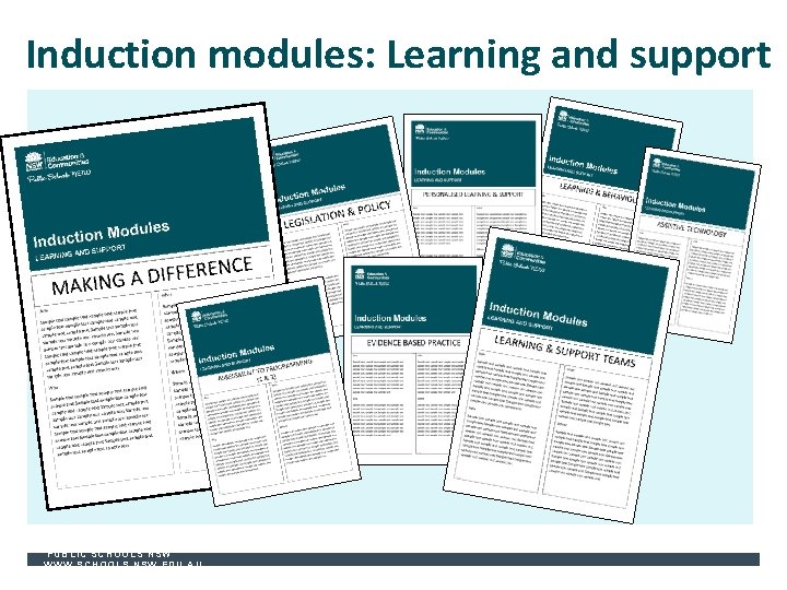Induction modules: Learning and support PUBLIC SCHOOLS NSW WWW. SCHOOLS. NSW. EDU. AU 