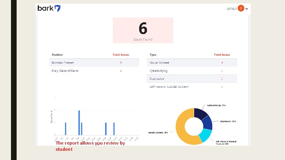 The report allows you review by student 