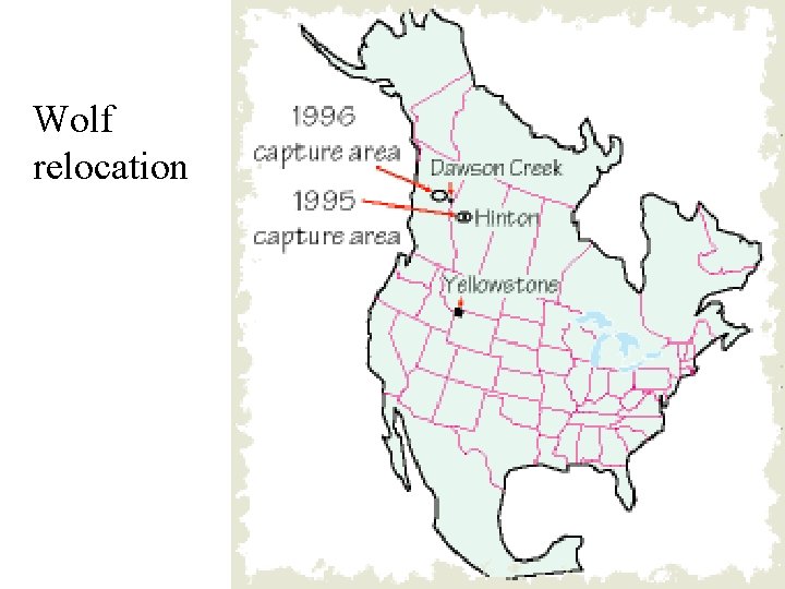 Wolf Relocation Why are species going extinct Fig 55 6