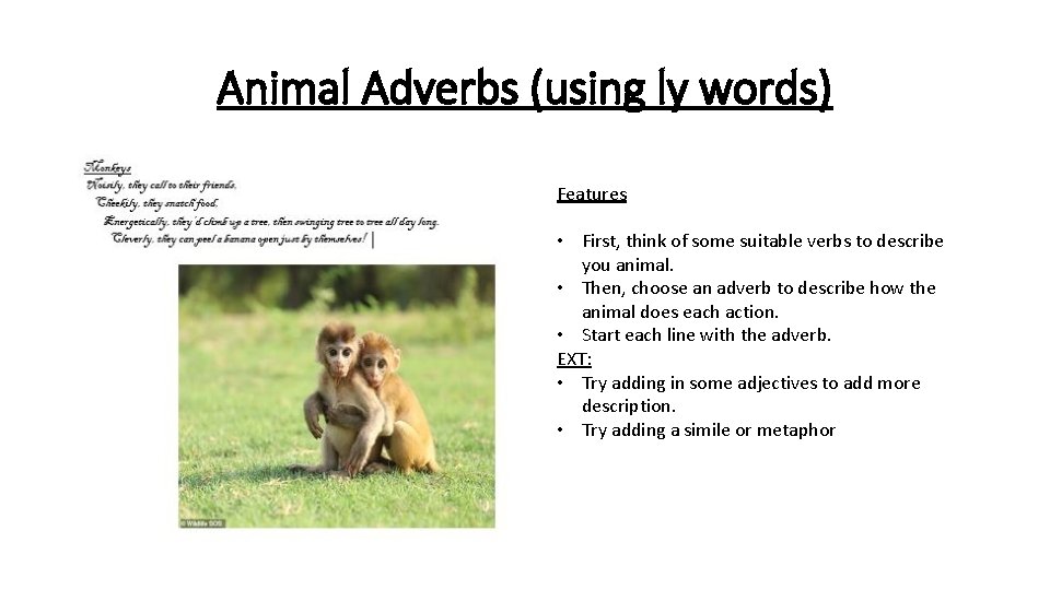 Animal Adverbs (using ly words) Features • First, think of some suitable verbs to Animal Adverbs (using ly words) Features • First, think of some suitable verbs to