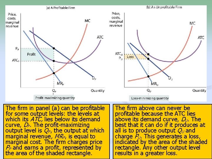 The firm in panel (a) can be profitable for some output levels: the levels