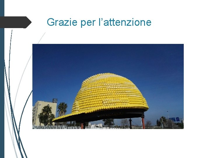 Grazie per l’attenzione 