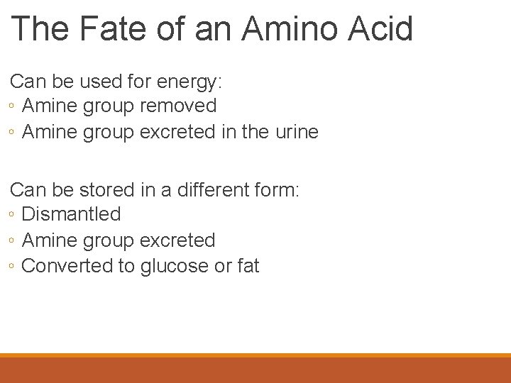 The Fate of an Amino Acid Can be used for energy: ◦ Amine group